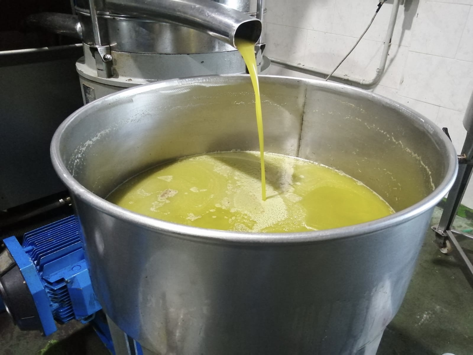 Sat’s Oil 🫒 GENESIS EDITION • 3L Sicilian EVOO — photo 3
